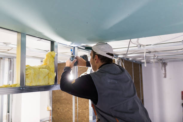 Best Commercial Insulation in Emory, TX